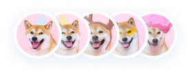 shiba-group